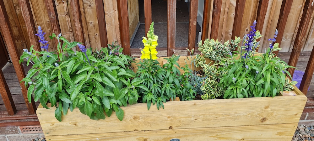 Flowers in front of rooms